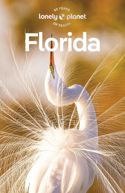 Produktbild: Travel Guide Florida