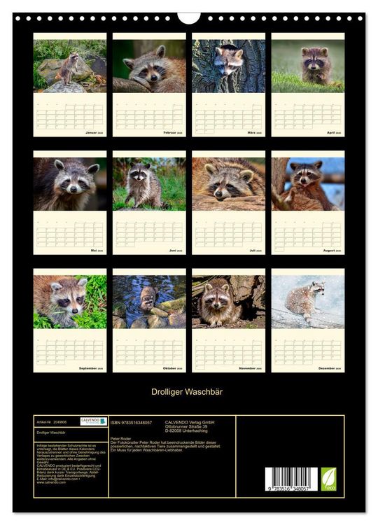 Produktbild: Drolliger Waschb&auml;r (Wandkalender 2026 DIN A3 hoch), CALVENDO Monatskalender