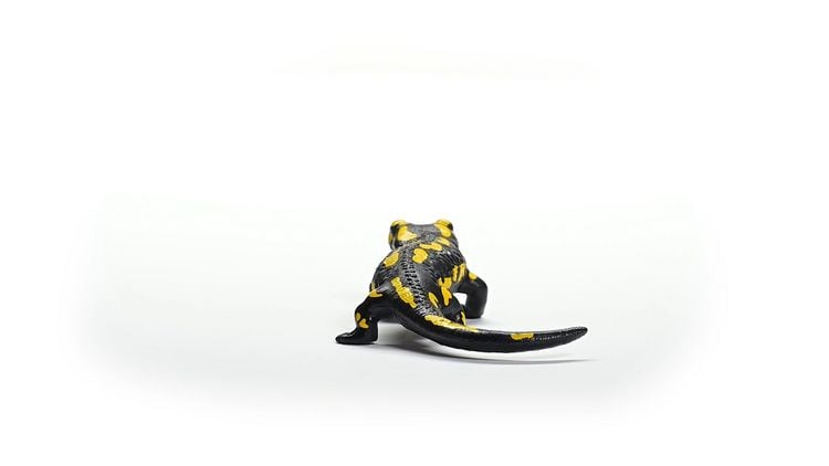 Produktbild: schleich&reg; Wild Life Feuersalamander 2,5cm