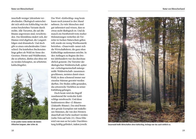 Produktbild: Menschenspuren im Wald