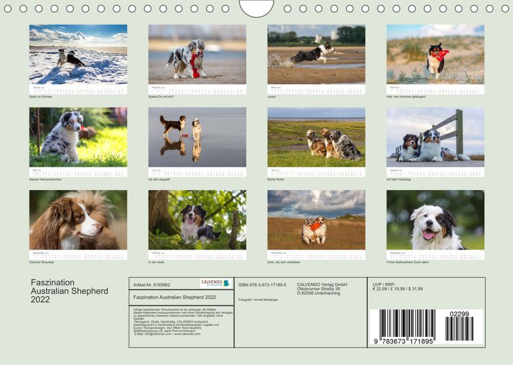 Produktbild: Australian Shepherd 2022 (Wandkalender 2022 DIN A4 quer)