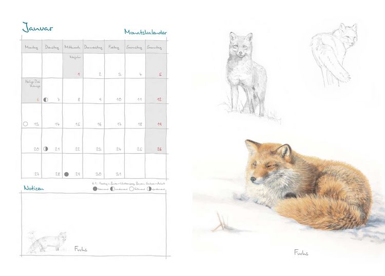 Produktbild: Mein Naturkalender 2025