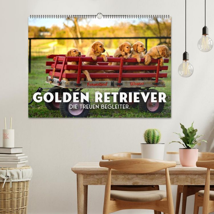 Produktbild: Golden Retriever - Die treuen Begleiter. (Wandkalender 2026 DIN A2 quer), CALVENDO Monatskalender