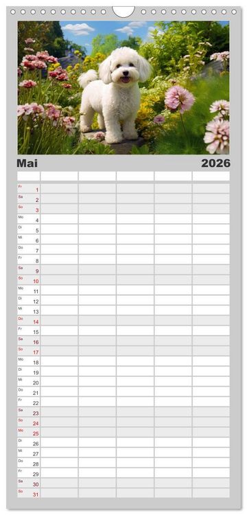 Produktbild: Familienplaner 2026 - Bichon fris&eacute;, wei&szlig;e H&uuml;ndchen mit lockigem Haar mit 5 Spalten (Wandkalender, 21 x 45 cm) CALVENDO