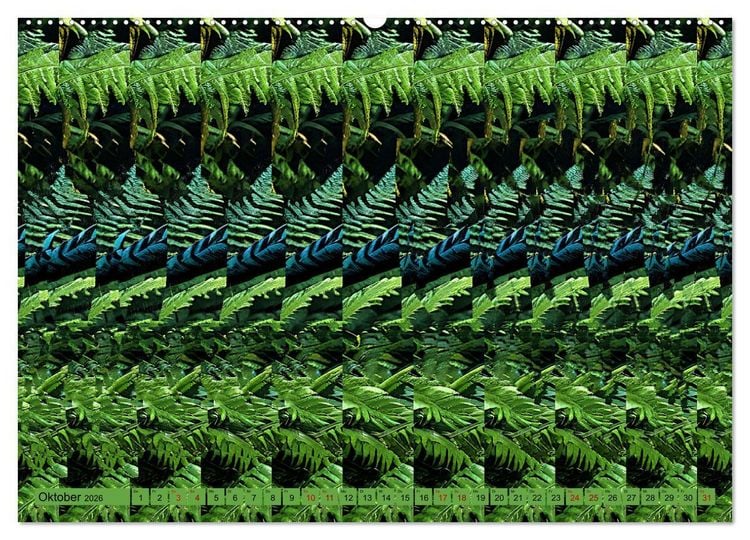 Produktbild: Magische Bilder - fantastische Stereogramme (Wandkalender 2026 DIN A2 quer), CALVENDO Monatskalender