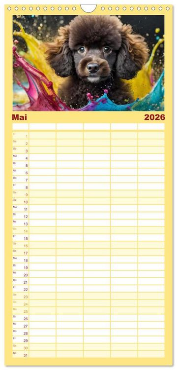 Produktbild: Familienplaner 2026 - Splash - Hunde im Farbrausch mit 5 Spalten (Wandkalender, 21 x 45 cm) CALVENDO