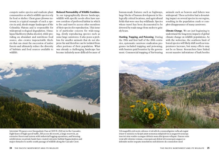 Produktbild: Wildlife of the Pacific Northwest
