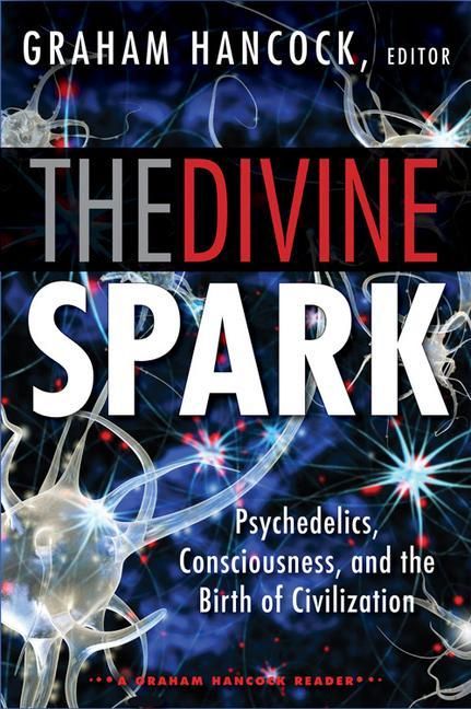 Produktbild: The Divine Spark: A Graham Hancock Reader