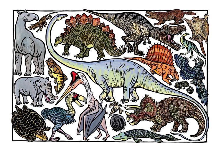 Produktbild: Zoo-ologie