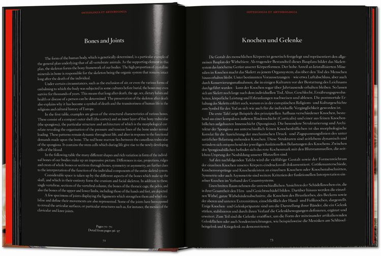 Produktbild: Anatomical Waxes. 45th Ed.