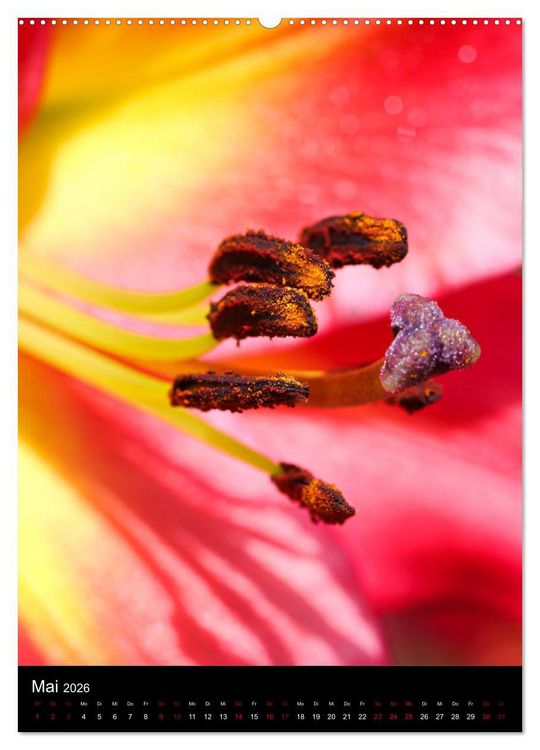 Produktbild: Ganz nah an der Natur (Wandkalender 2026 DIN A2 hoch), CALVENDO Monatskalender