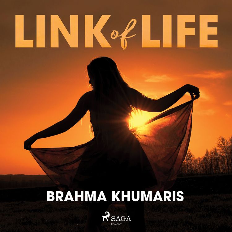 Produktbild: Link of Life