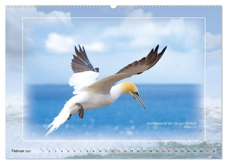 Produktbild: Insel Gedanken (hochwertiger Premium Wandkalender 2027 DIN A2 quer), Kunstdruck in Hochglanz