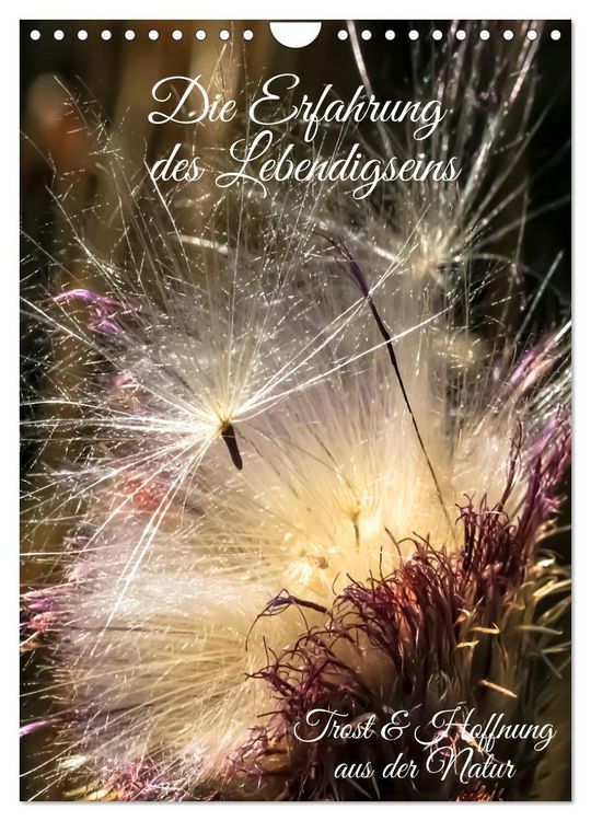 Produktbild: Die Erfahrung des Lebendigseins (Wandkalender 2026 DIN A4 hoch), CALVENDO Monatskalender