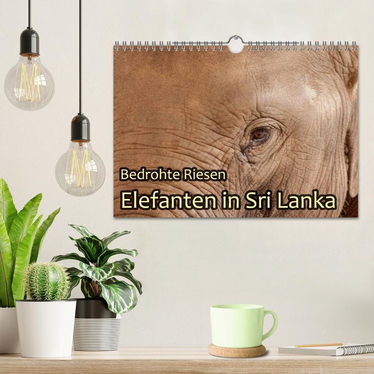 Produktbild: Bedrohte Riesen - Elefanten in Sri Lanka (Wandkalender 2026 DIN A4 quer), CALVENDO Monatskalender