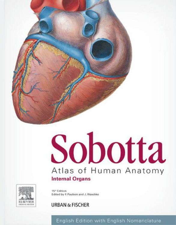 Produktbild: Sobotta Atlas of Human Anatomy, Vol. 2, 15th ed., English