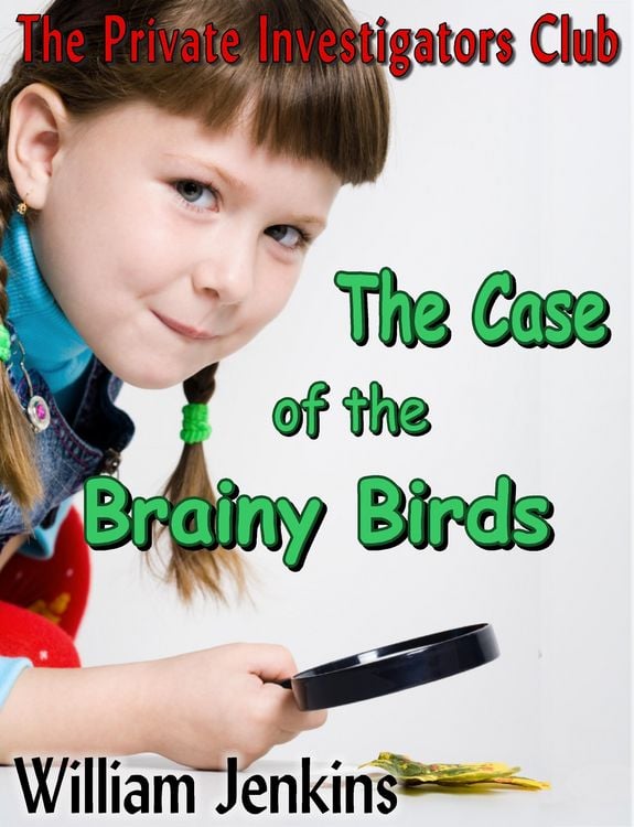 Produktbild: Case of the Brainy Birds