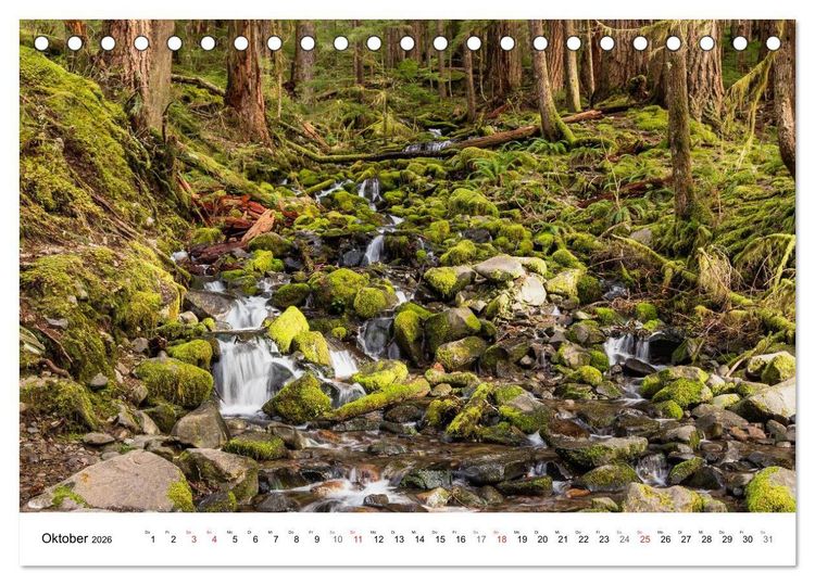 Produktbild: The Olympic National Park - Washington USA (Tischkalender 2026 DIN A5 quer), CALVENDO Monatskalender