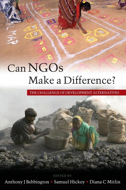 Produktbild: Can NGOs Make a Difference?