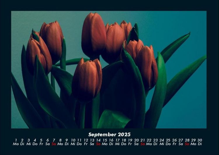 Produktbild: Blumenkalender 2025 Fotokalender DIN A4