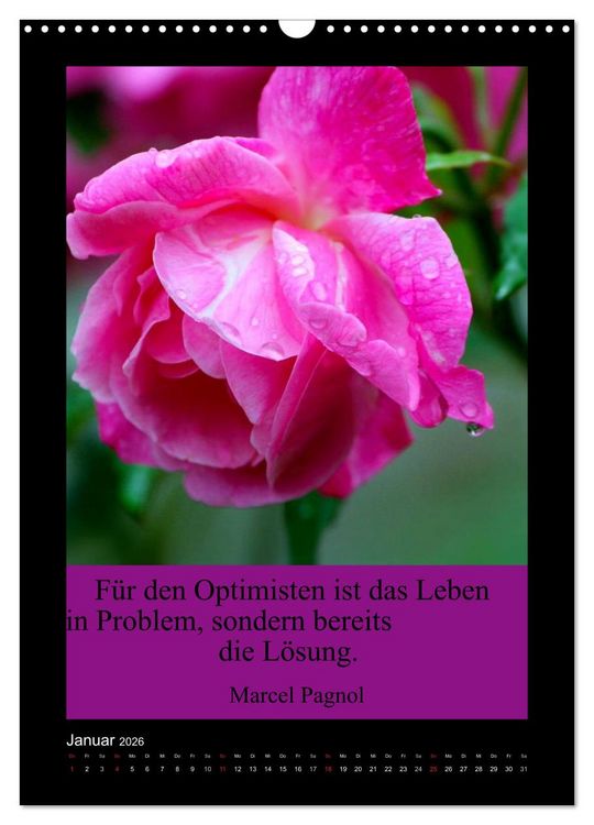Produktbild: Lebensweisheiten mit Blumigen Gr&uuml;&szlig;en (Wandkalender 2026 DIN A3 hoch), CALVENDO Monatskalender