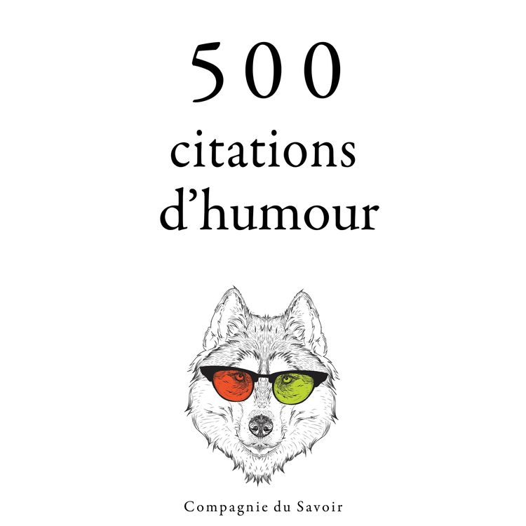 Produktbild: 500 citations d'humour