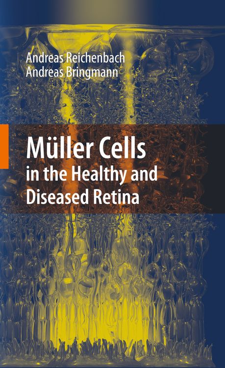 Produktbild: M&uuml;ller Cells in the Healthy and Diseased Retina