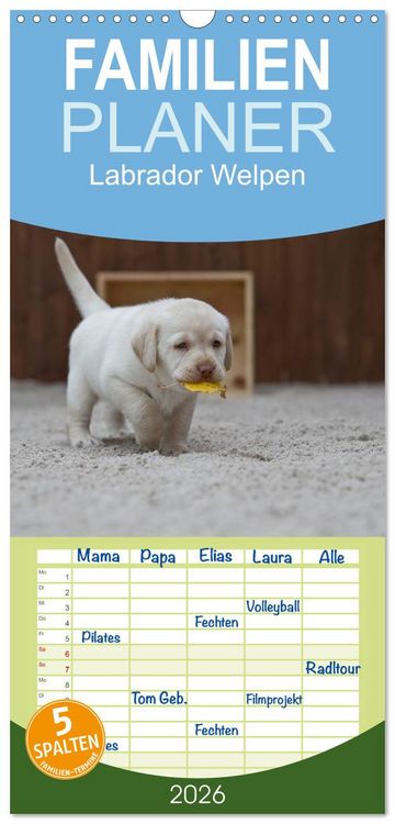 Produktbild: Familienplaner 2026 - Labrador Welpen mit 5 Spalten (Wandkalender, 21 x 45 cm) CALVENDO