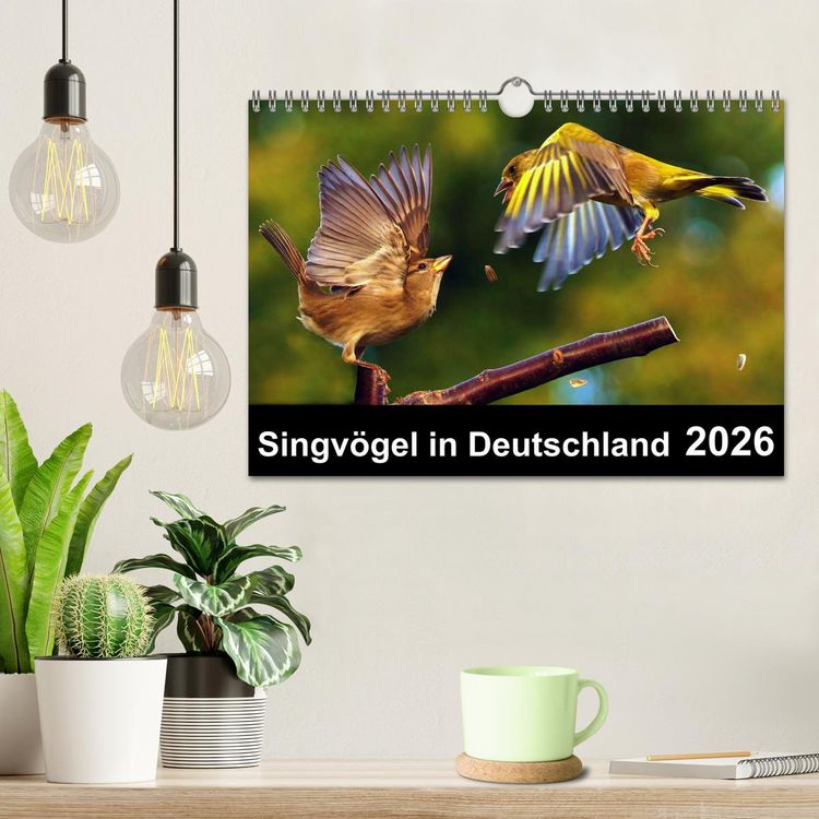 Produktbild: Singv&ouml;gel in Deutschland (Wandkalender 2026 DIN A4 quer), CALVENDO Monatskalender