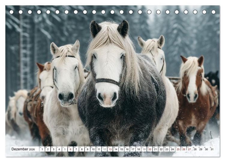 Produktbild: Pferde in freier Natur (Tischkalender 2026 DIN A5 quer), CALVENDO Monatskalender