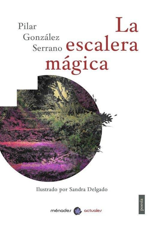Produktbild: La escalera m&aacute;gica