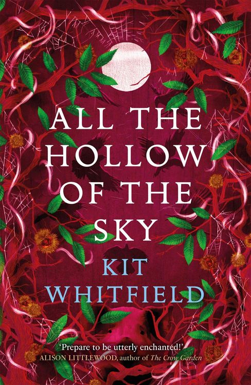 Produktbild: All the Hollow of the Sky