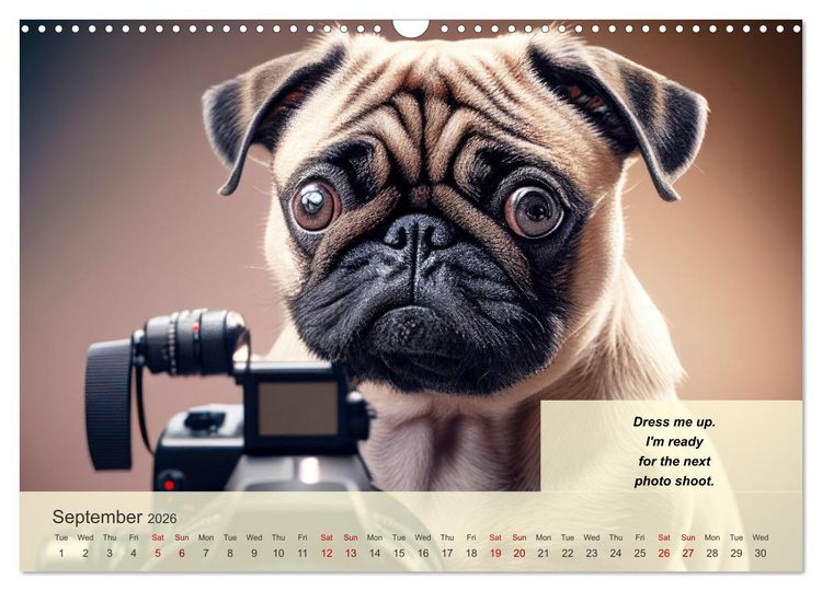 Produktbild: Great fun for pug lovers (Wall Calendar 2026 DIN A3 landscape), CALVENDO 12 Month Wall Calendar