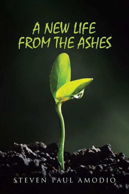 Produktbild: A New Life From The Ashes