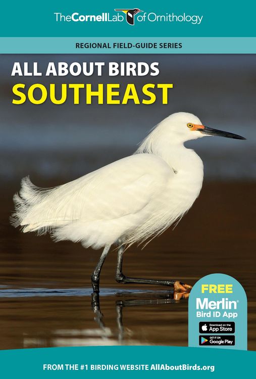 Produktbild: All About Birds Southeast