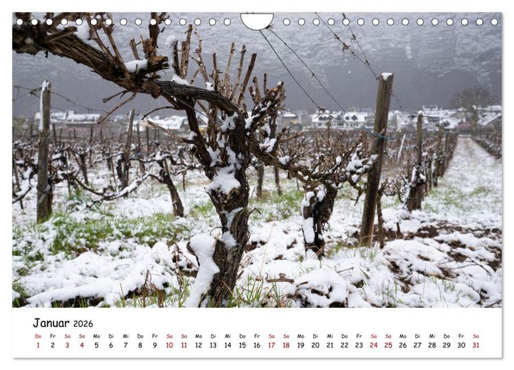 Produktbild: Heimat Entdecken - Die Mosel (Wandkalender 2026 DIN A4 quer), CALVENDO Monatskalender