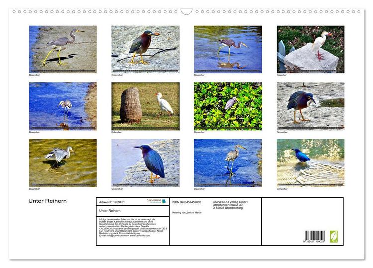 Produktbild: Unter Reihern (Wandkalender 2026 DIN A2 quer), CALVENDO Monatskalender