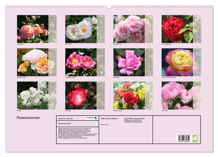 Produktbild: Rosensommer (Wandkalender 2026 DIN A2 quer), CALVENDO Monatskalender