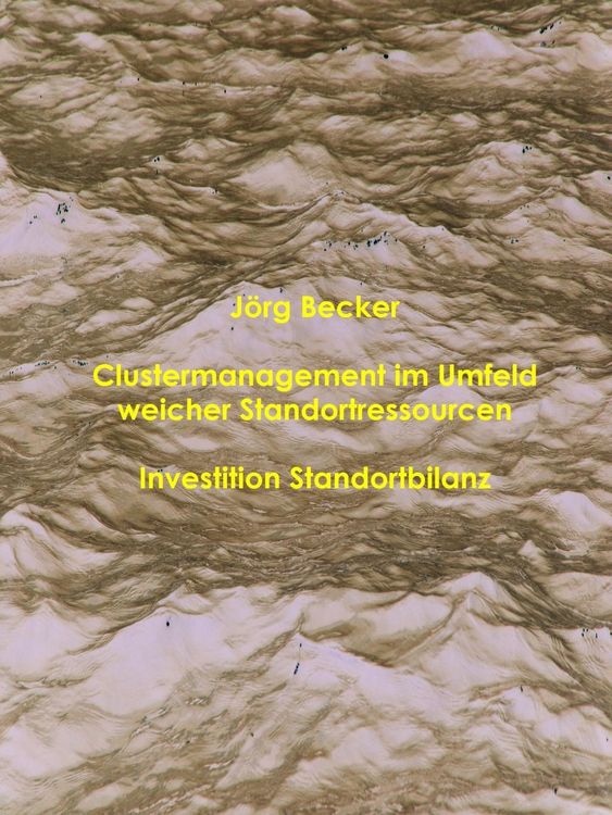 Produktbild: Clustermanagement im Umfeld weicher Standortressourcen
