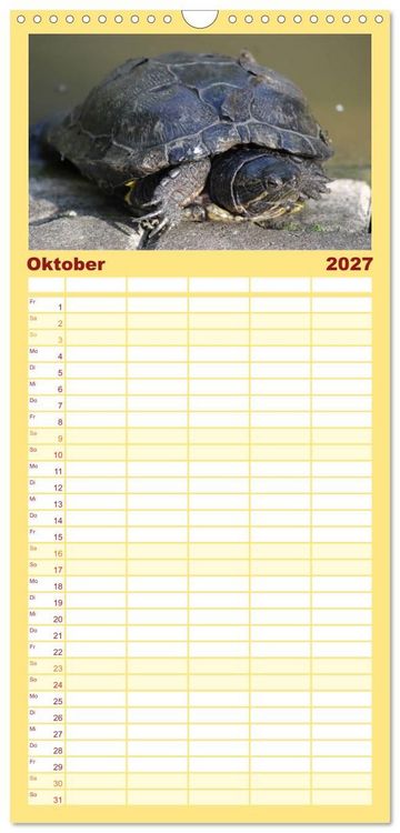 Produktbild: Familienplaner 2027 - Schildkr&ouml;ten - Gepanzerte Urzeitwesen mit 5 Spalten (Wandkalender, 21 x 45 cm) CALVENDO