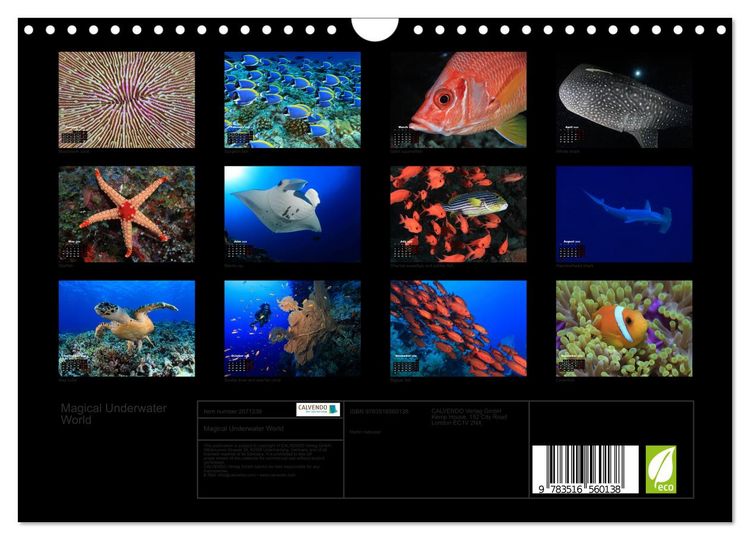 Produktbild: Magical Underwater World (Wall Calendar 2026 DIN A4 landscape), CALVENDO 12 Month Wall Calendar
