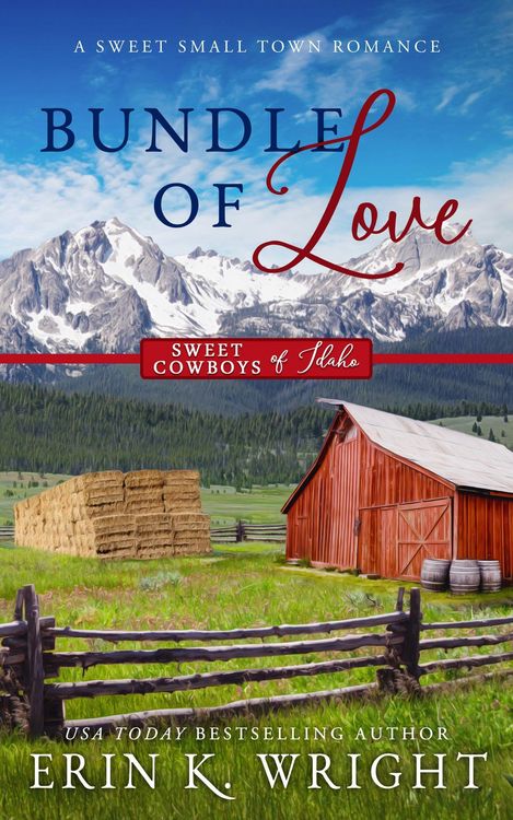 Produktbild: Bundle of Love: A Small Town Office Sweet Romance (Sweet Cowboys of Idaho, #7)