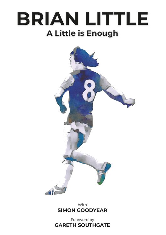 Produktbild: Brian Little - A Little Is Enough