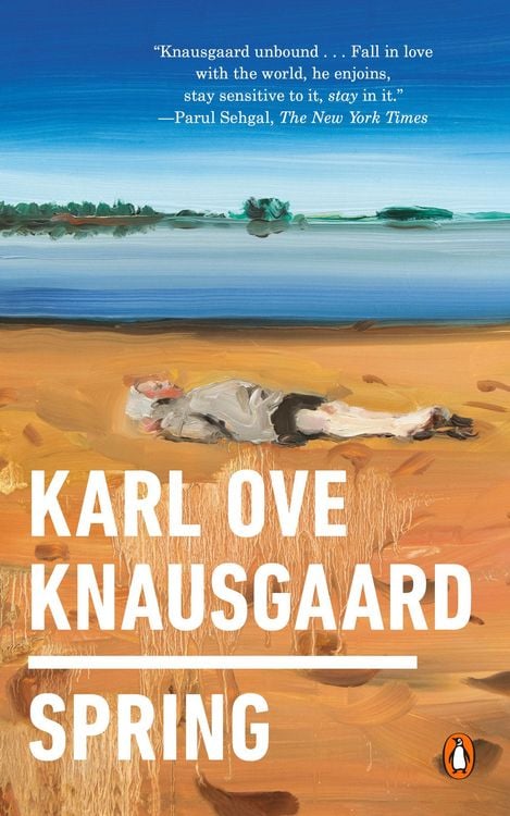 Bild vom Artikel Spring vom Autor Karl Ove Knausgard