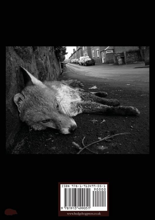 Produktbild: Of Gone Fox