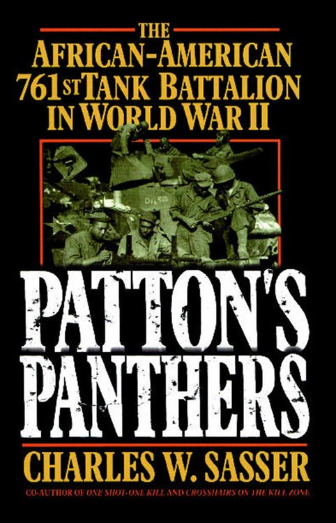Produktbild: Patton's Panthers