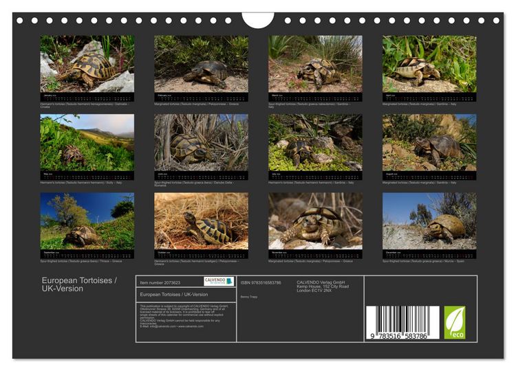 Produktbild: European Tortoises / UK-Version (Wall Calendar 2026 DIN A4 landscape), CALVENDO 12 Month Wall Calendar