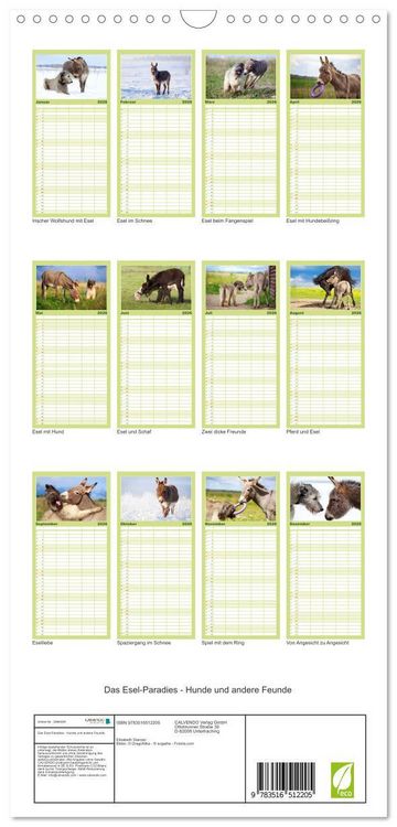 Produktbild: Familienplaner 2026 - Das Esel-Paradies - Hunde und andere Feunde mit 5 Spalten (Wandkalender, 21 x 45 cm) CALVENDO