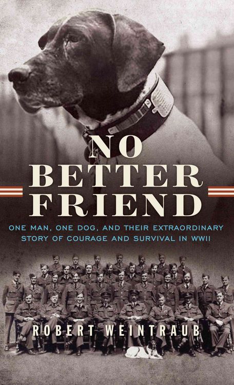 Produktbild: No Better Friend -Lp