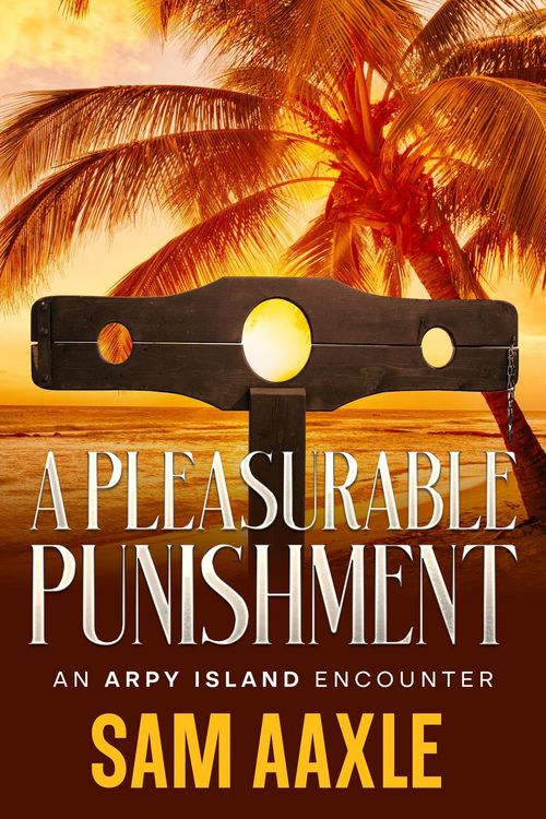 Produktbild: A Pleasurable Punishment